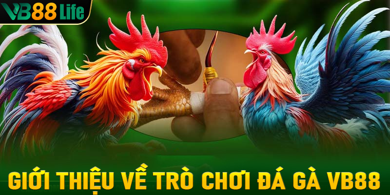 Giới thiệu về trò chơi đá gà VB88